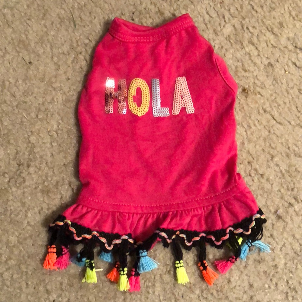 A small dog outfit
